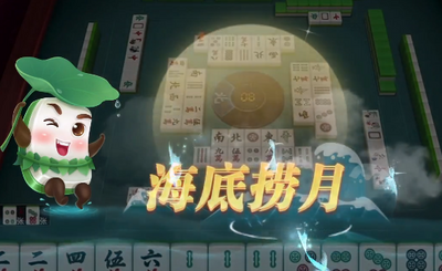 哈灵嘉兴麻将下载安装截图3