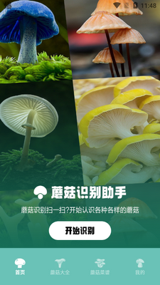 Ģ��ʶ������app�ٷ����ͼ3