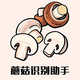 Ģ��ʶ������app�ٷ���v1.1���°�