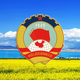 �ຣ��Э�ֻ���v1.9.9 ���°�