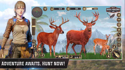 ����¹����Jungle Deer Hunting��ͼ1