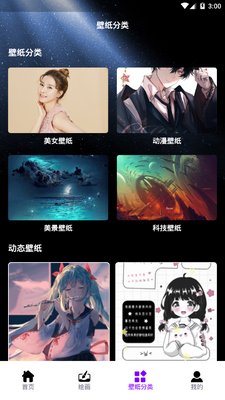 口袋壁纸主题app安卓版截图4
