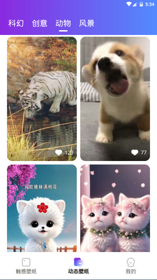 触感壁纸app手机最新版截图2