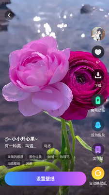 ����С���app��׿���ͼ5