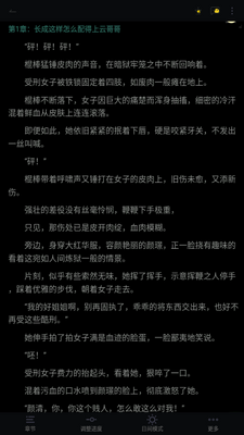 乐乎小说app手机安卓官方版截图4