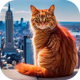 è�����ռǴ�����Ϸ���°�v1.1 ��׿��