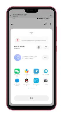 Togo���ɹ��߽�ͼ2