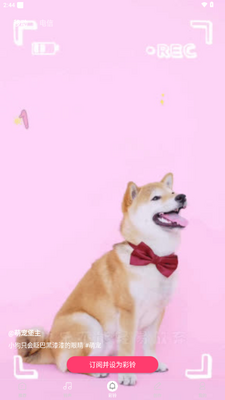 �����Ųʶ��app���°汾��ͼ2