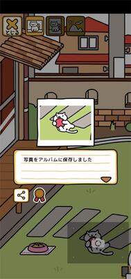 è���ռ�2���°�(Neko Atsume2)��ͼ0