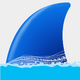 WireSharkץ����ʦv1.2.1 ��׿��
