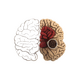 �챳��ҽAPP���°�v2.0.7 ��׿��