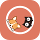 ����è��������app��Ѱ�v1.2.6 ��׿��