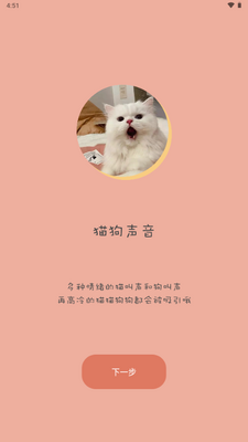 ����è��������app��Ѱ��ͼ4