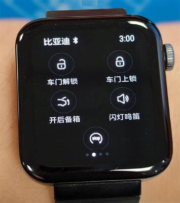 比亚迪汽车APP手表版截图0