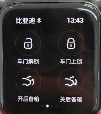 比亚迪汽车APP手表版截图1