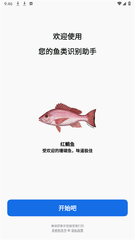 Fishbyֻ