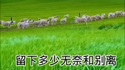 ΢��TV���Ӱ��ͼ0