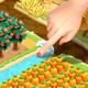 �ɿɹ�ũ��ð��(Coco Valley)2.22.0 ��׿��