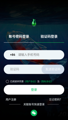 һ������app�ڲ���ͼ4