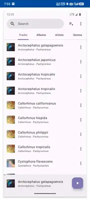 Phocid�������ֲ�������ͼ0