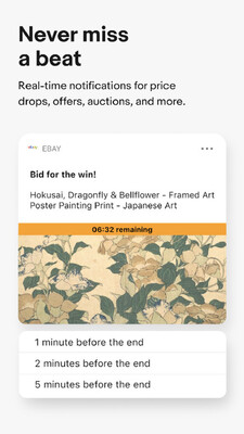 eBay�羳����ƽ̨��ͼ1