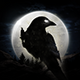 ҹѻ���ʷ�(NIGHT CROWS)1.12.11 �ȸ��