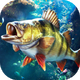 ���ֵ����ʦ�����ǰ�v1.0.0.49750 ��׿�ֻ���