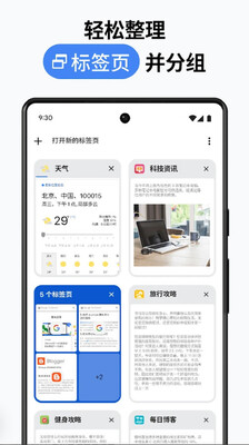 谷歌浏览器2026金丝雀版本截图0