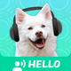 ��������ģ����app������v9.5.6 ��¼��