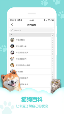 ��������ģ����app�������ͼ0
