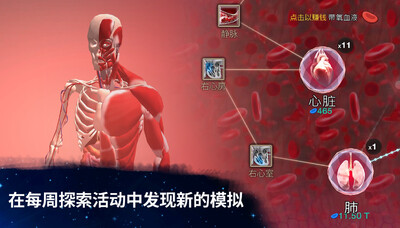 ��ϸ�������(Cell to Singularity)���ò˵���ͼ3