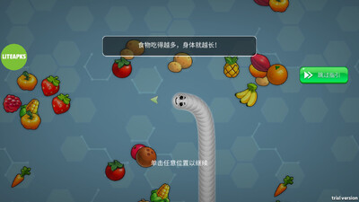 ̰���߾����(Snake Lite)��ͼ1