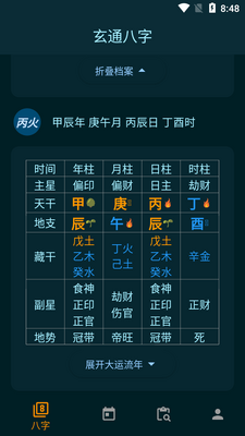 玄通八字软件截图2