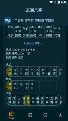 玄通八字软件截图0