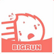 bigrun������̳app2.5.6 ��׿���°�