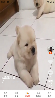��С��app��ͼ3
