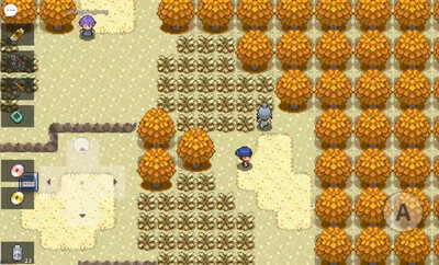 PokeMMO���������ν�ͼ1