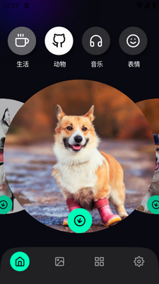 �𰮱�ֽapp��ͼ2