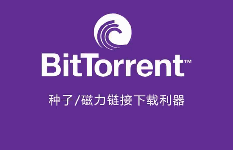 BitTorrent Proh