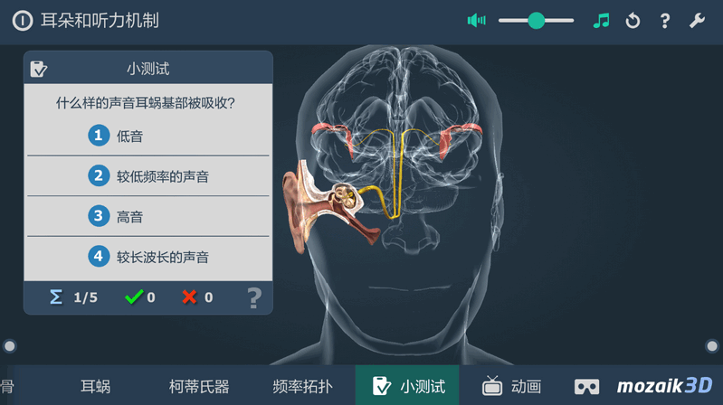 3Dapp(The mechanism of hearing educational VR 3D)