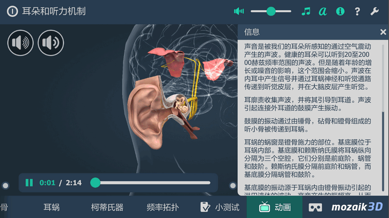 3Dapp(The mechanism of hearing educational VR 3D)