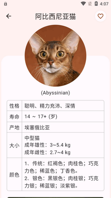 èƷ�ִ�ȫapp���°��ͼ1