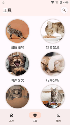èƷ�ִ�ȫapp���°��ͼ4