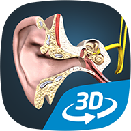 3Dwapp(The mechanism of hearing educational VR 3D)v1.27 İ