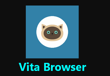 ҕg[(Vita Browser)