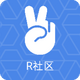 R�����ֱ���������v1.0 �ڲ��
