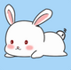 ������app�޹���v4.4.01 ��׿��