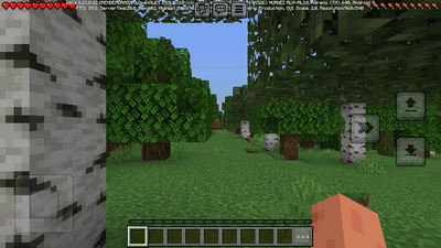 �ҵ������ȷ��Minecraft�ͻ��˽�ͼ2