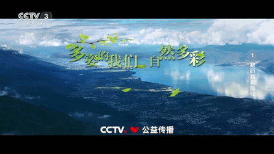 ���е���TV�°汾������ͼ1