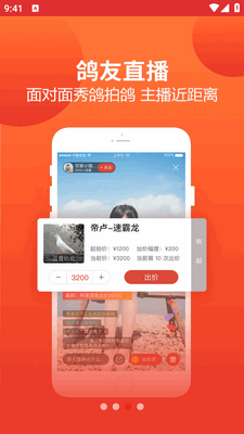 搜鸽天下官方版截图1